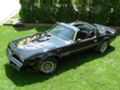 picture of Pontiac Trans-Am, 1977, black/gold Bandit