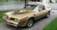 picture of Pontiac Trans-Am, 1978, gold