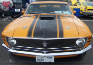 picture of Ford Mustang, 1970, Boss 302, hood scoop