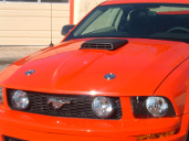picture of Ford Mustang, ~2005, hood scoop, red