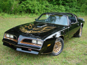picture of Pontiac Trans-Am, 1977, black/gold Bandit