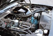 picture of Pontiac Trans-Am, 1977, black/gold Bandit, Pontiac 400 6.6L V8 engine